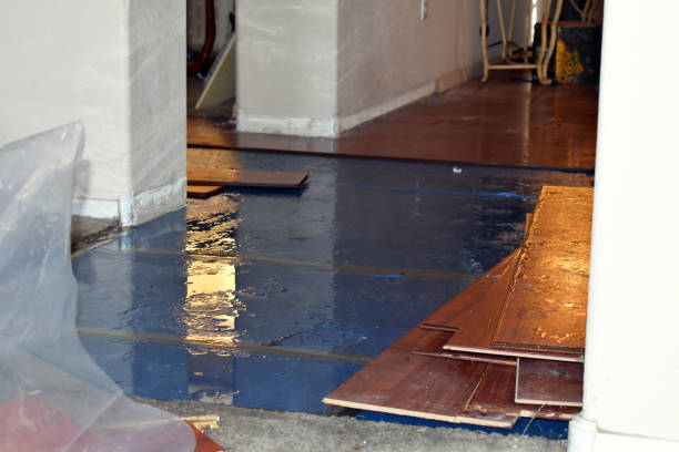Professional Flood Cleanup technician working in Silverado, CA